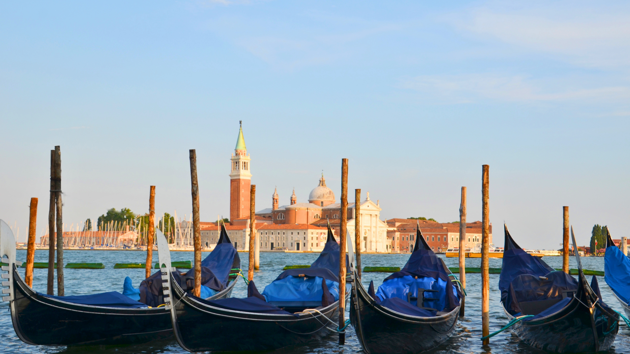 Venice-gondolas